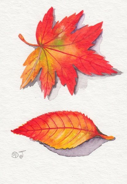 Листья красками