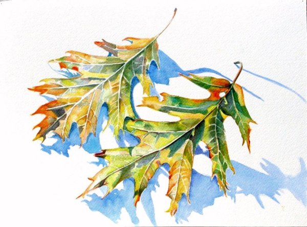 Листья деревьев акварелью