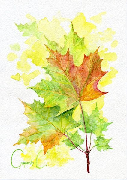 Листья деревьев акварелью