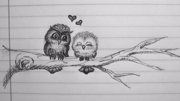 Рисунок легкий листья