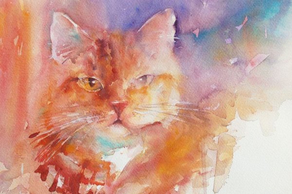 Акварелист Jean haines