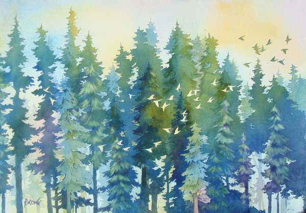 Грэм Геркен (Graham Gercken)