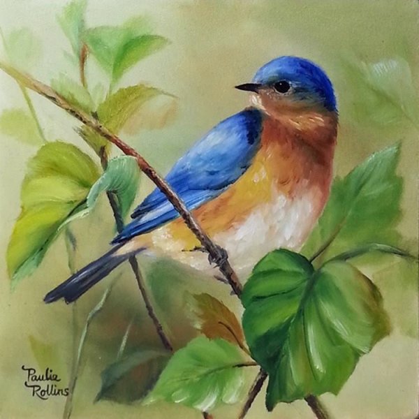 Живопись птички гуашь