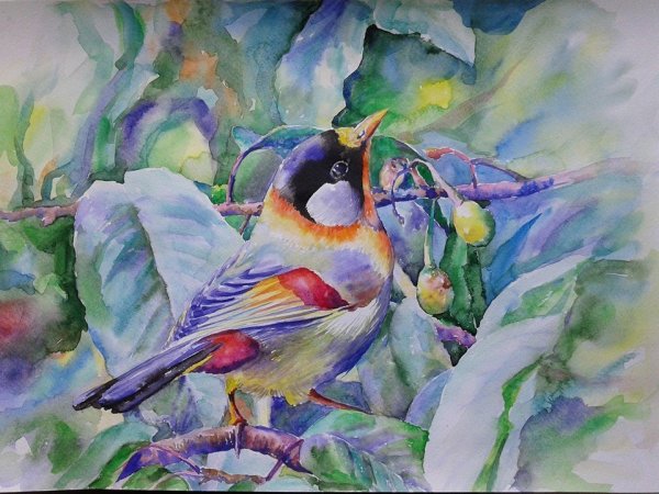 Птицы акварелью