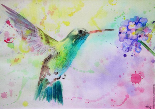Акварельная Колибри