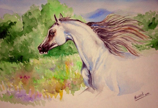 Лошадь рисунок гуашью