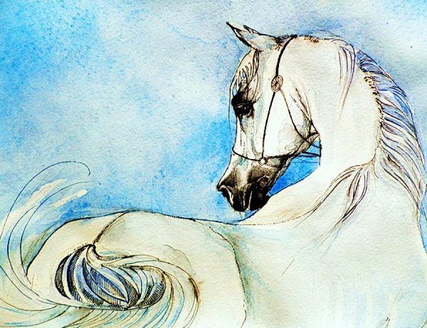 Арабские лошади гуашью