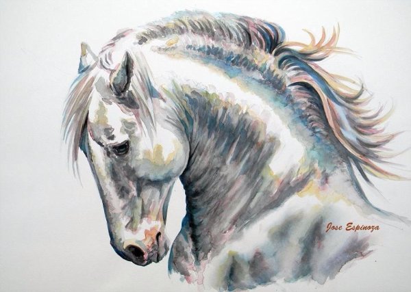 Морда коня акварель