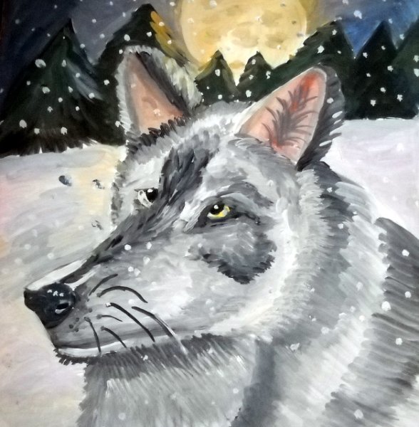 Нарисовать волка красками