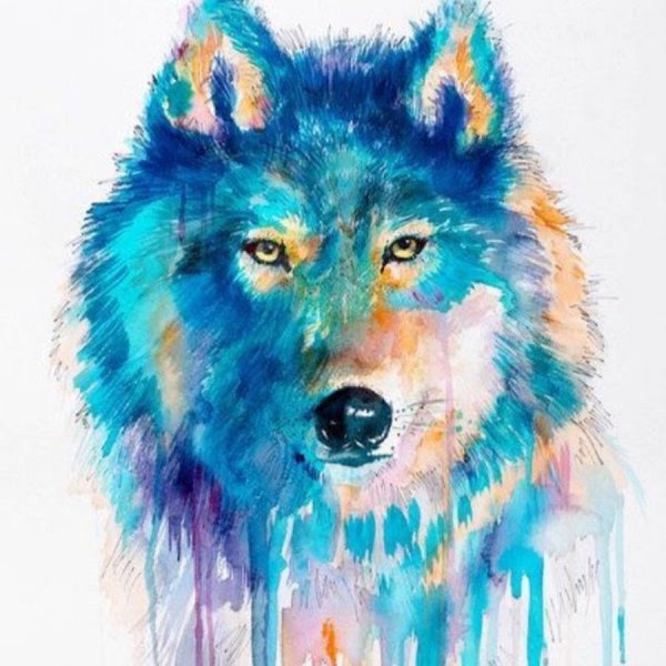 Нарисовать волка красками