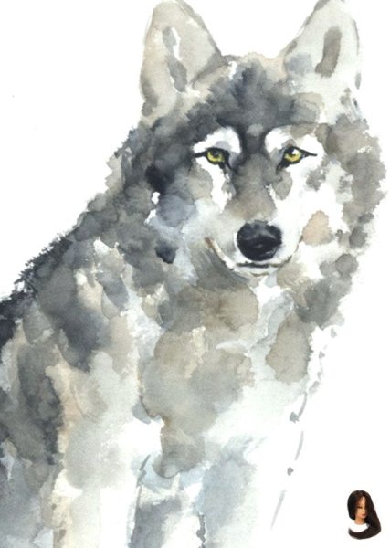 Картины акварелью волк