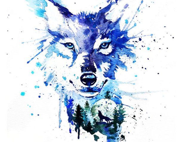 Акварельные рисунки волки