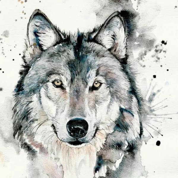 Крутые рисунки акварелью