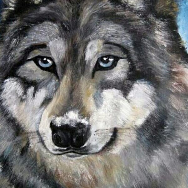 Волк акварелью