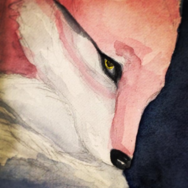 Волк гуашью