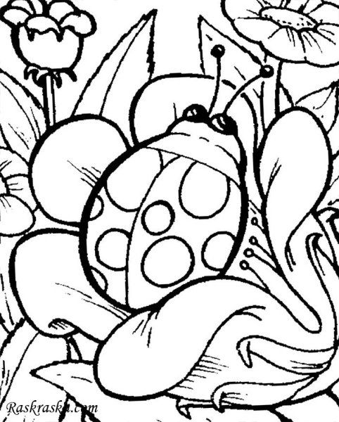 Божья коровка раскраска