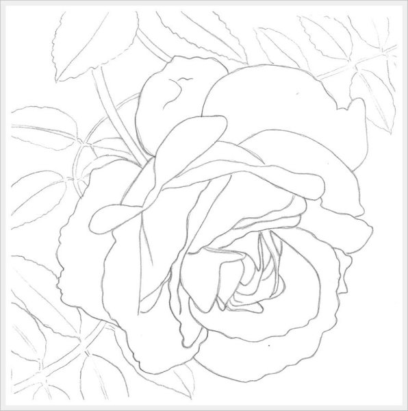 Раскраска природа