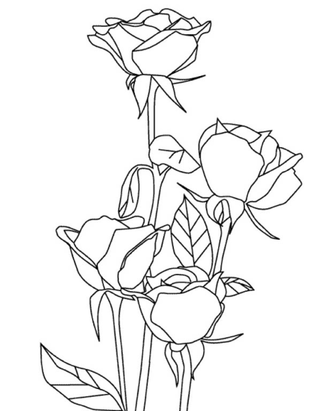 Божья коровка раскраска