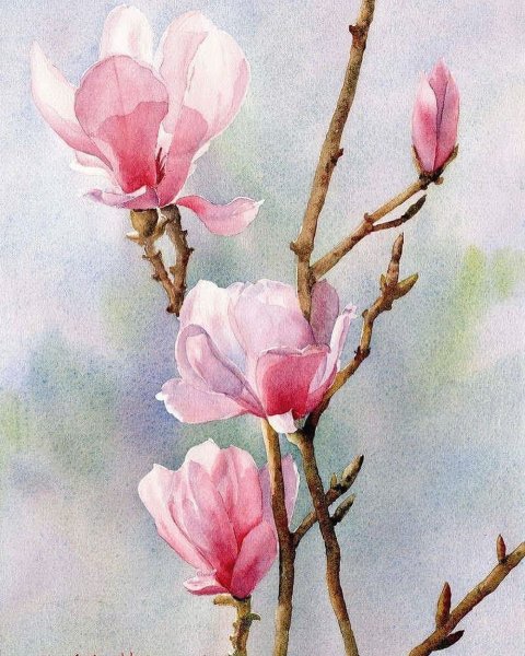 Художник Joe Cartwright