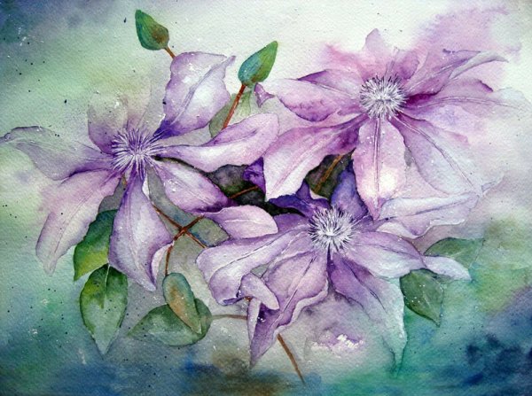 Акварели Ивонны Харри