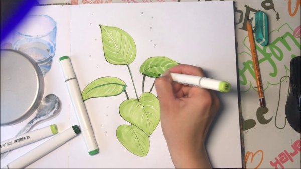 Рисунки маркерами для начинающих