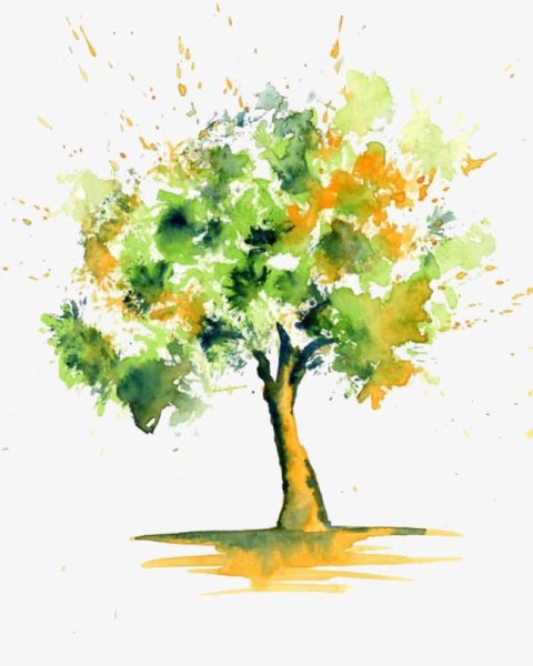 Деревья акварелью