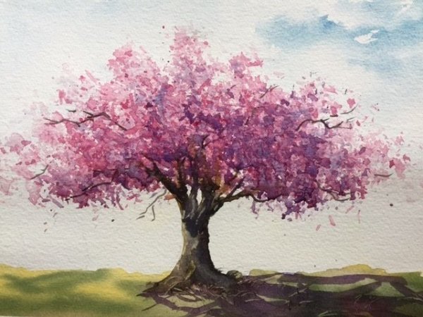 Дерево Сакуры гуашью