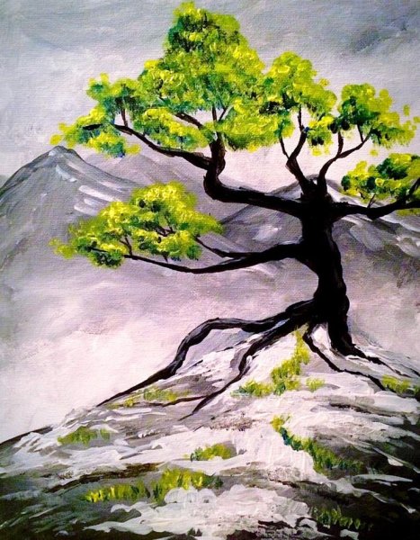 Краска для дерева