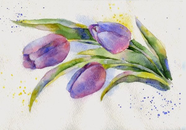 Энди Тейт цветы акварель