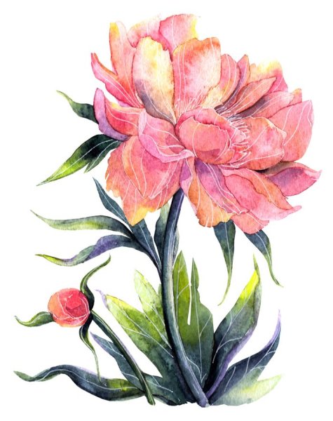 Giuliano Boscaini художник