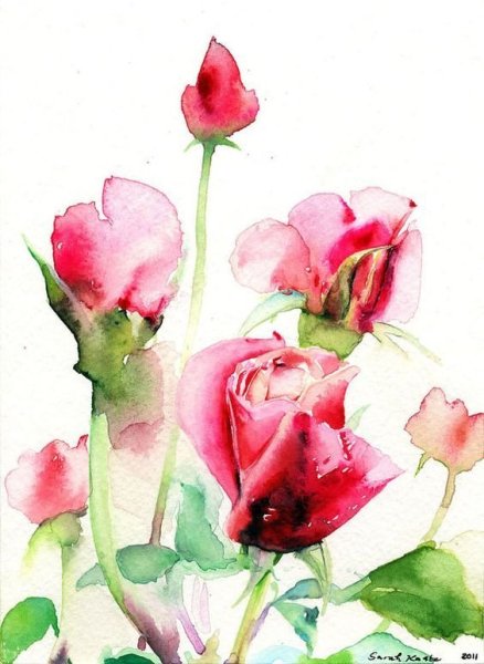 Художница Yvonne Harry