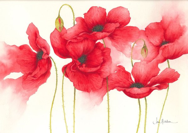 Olena Duchene художник