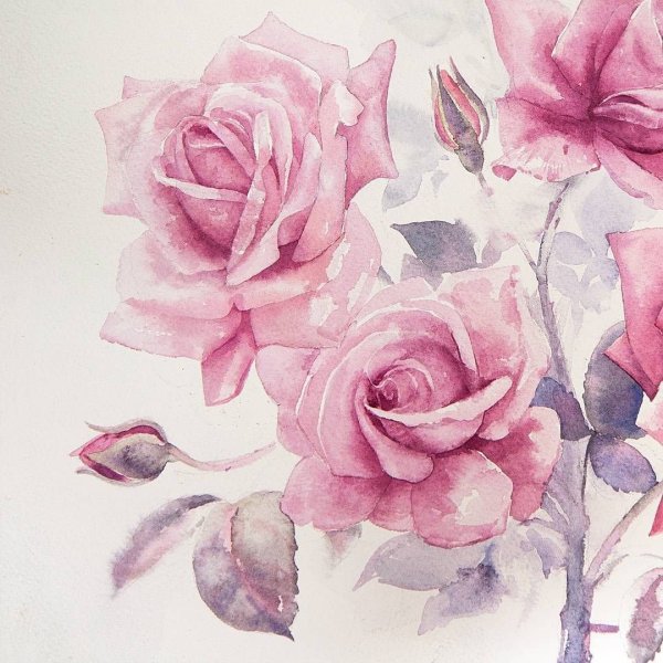 Елена Вавилина пионы