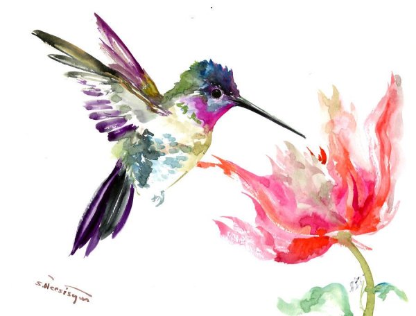 Акварельные птички на белом фоне