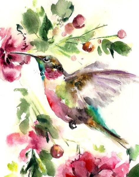 Птицы в акварельной живописи