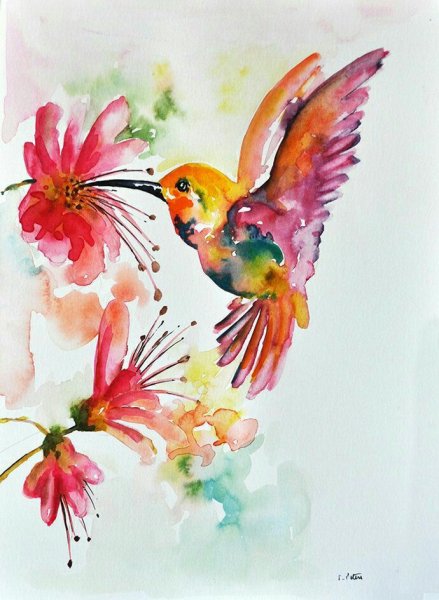 Птичка акварелью