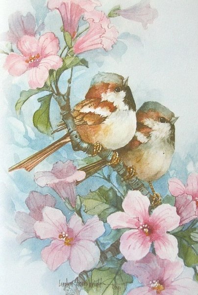 Carolyn Shores Wright картины