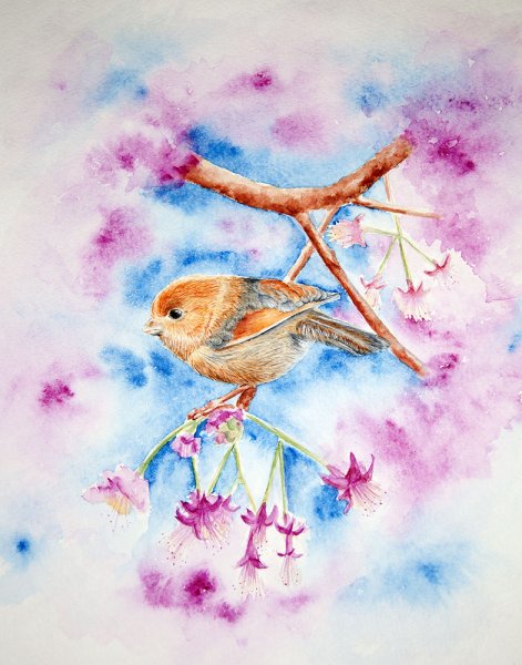 Красивые Акварельные иллюстрации