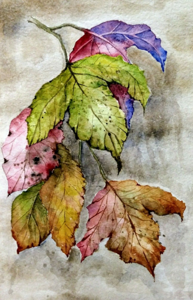 Листья акварель