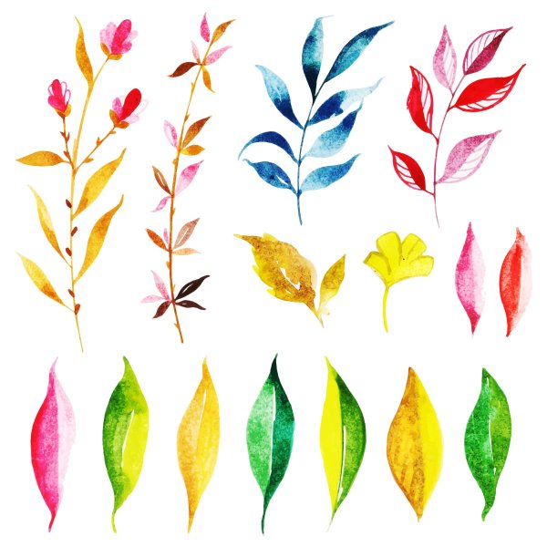 Акварельные листики