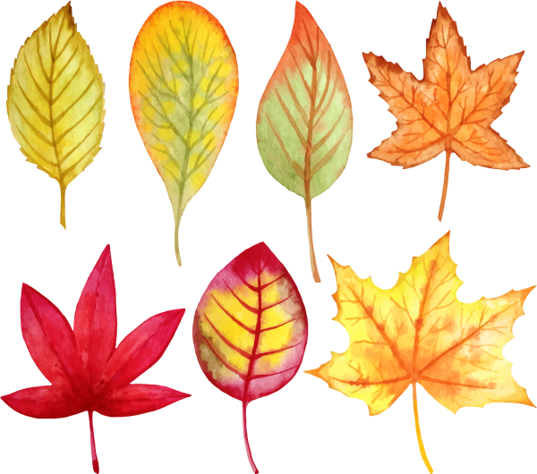 Осенние листья акварель