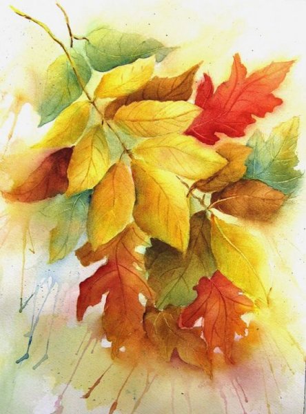 Листья акварель