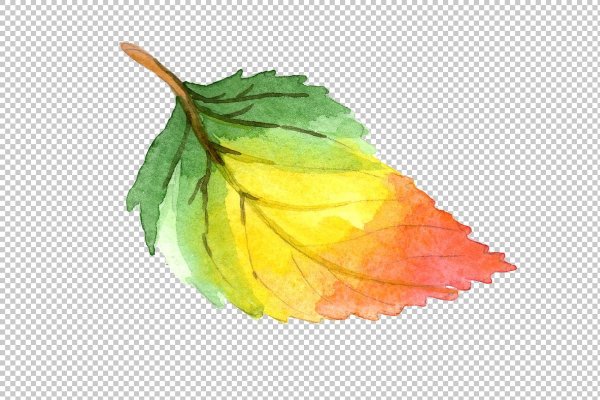 Акварельные осенние листья