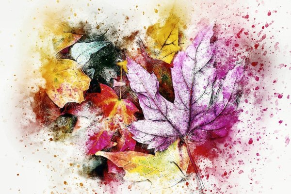 Экзотические листья акварель