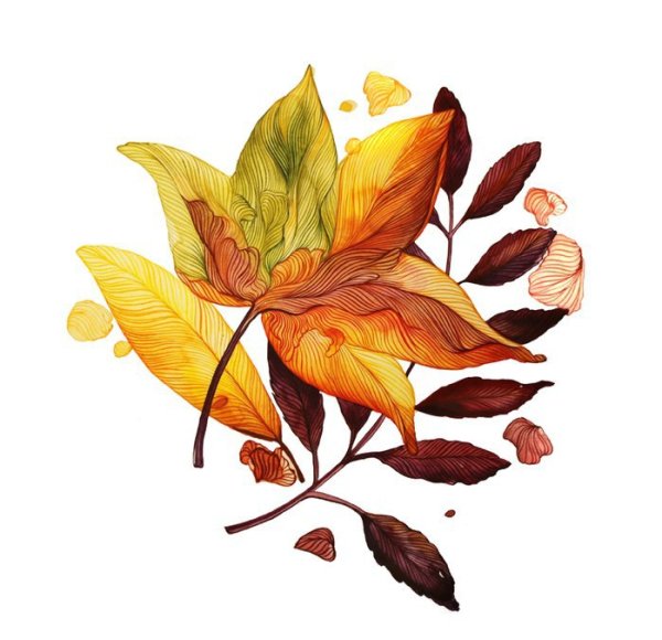 Осень акварель