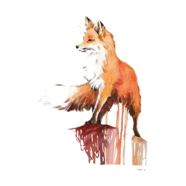 Лиса акварелью