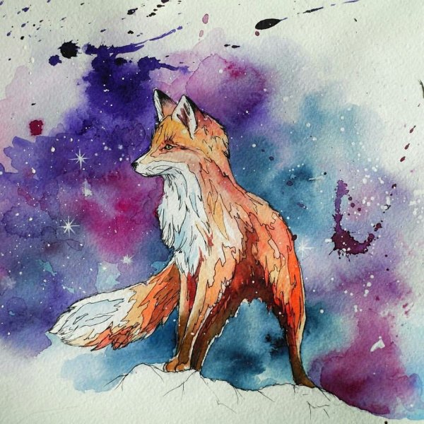 Морда лисы акварелью