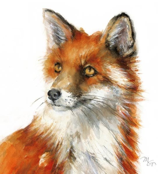 Лисы акварелью