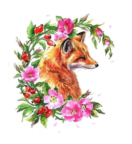 Лисенок Графика