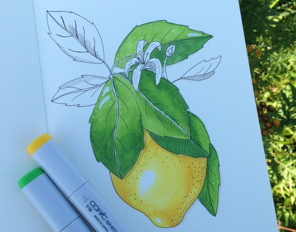 Рисунки маркерами